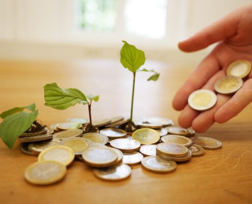 euro investering groei
